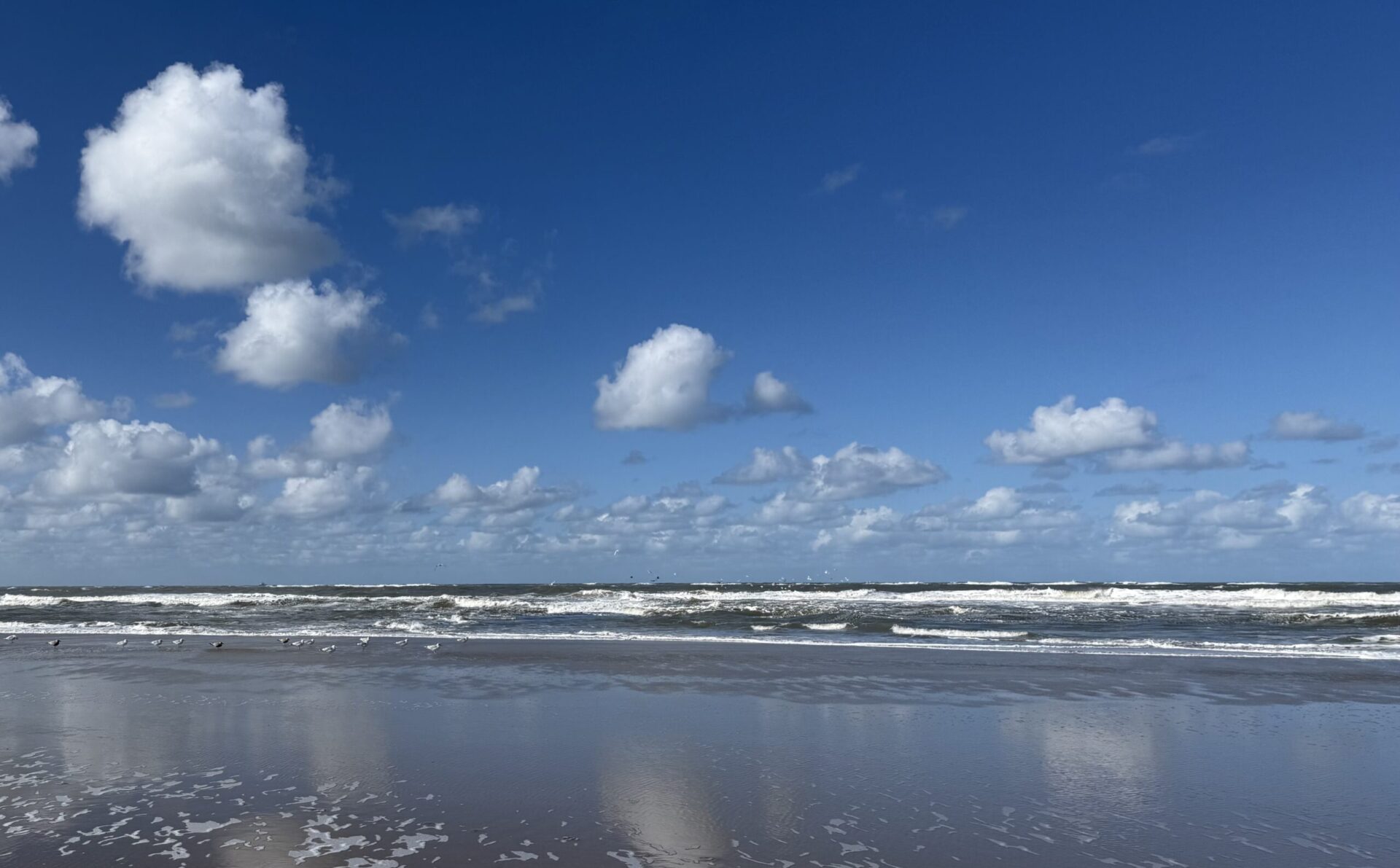 Corine Lagemaat |             Psychologie & Coaching