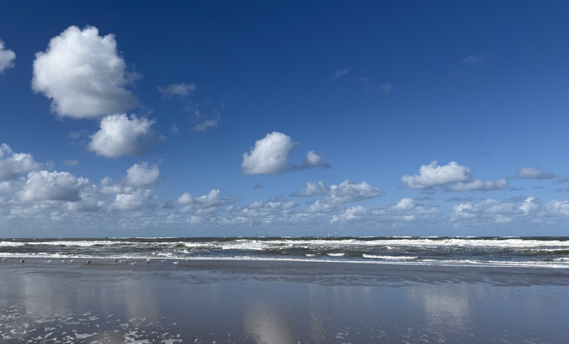 Corine Lagemaat <br><p style="font-size: 40px"> GZ-Psycholoog